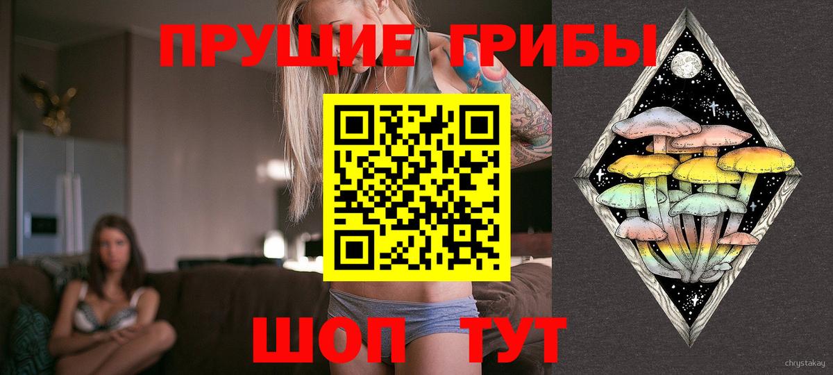 Псилоцибиновые грибы мухоморы Сунжа